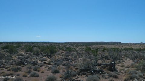 Tiny photo for 8581 Justin Lane, Snowflake, AZ 85937 (MLS # 255402)