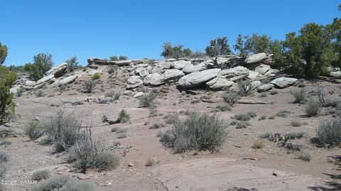 Tiny photo for 8581 Justin Lane, Snowflake, AZ 85937 (MLS # 255402)
