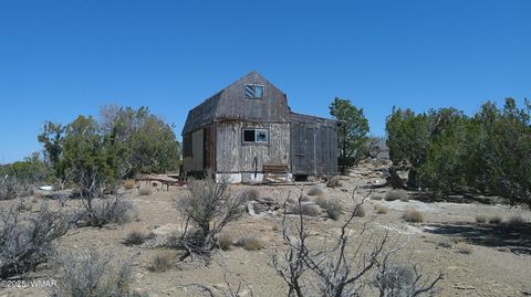Tiny photo for 8581 Justin Lane, Snowflake, AZ 85937 (MLS # 255402)
