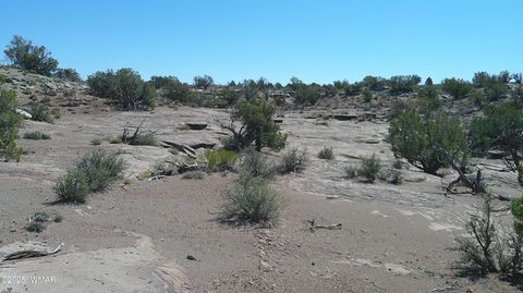 Tiny photo for 8581 Justin Lane, Snowflake, AZ 85937 (MLS # 255402)