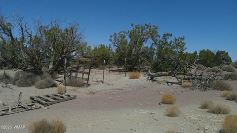 Tiny photo for 8581 Justin Lane, Snowflake, AZ 85937 (MLS # 255402)