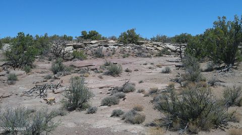 Tiny photo for 8581 Justin Lane, Snowflake, AZ 85937 (MLS # 255402)