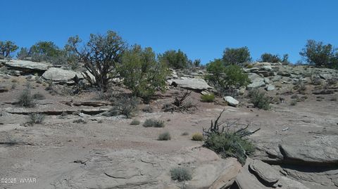 Tiny photo for 8581 Justin Lane, Snowflake, AZ 85937 (MLS # 255402)