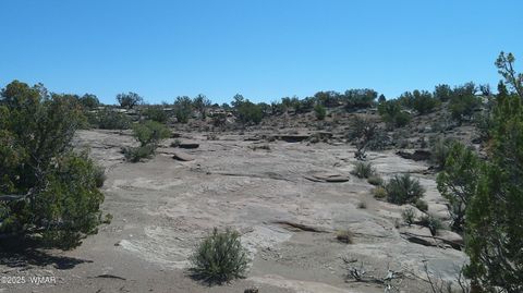 Tiny photo for 8581 Justin Lane, Snowflake, AZ 85937 (MLS # 255402)