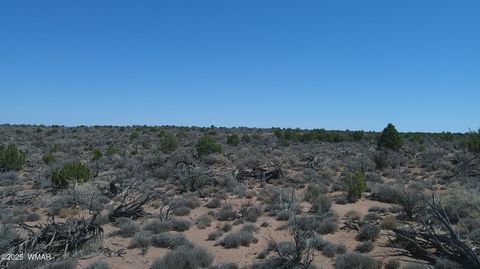 Tiny photo for 8581 Justin Lane, Snowflake, AZ 85937 (MLS # 255402)