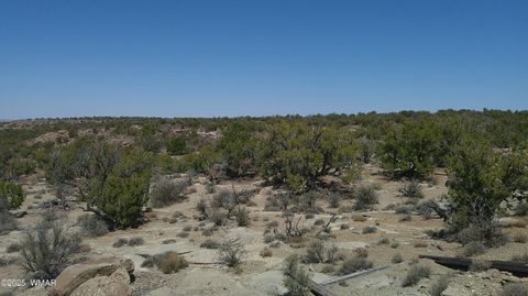 Tiny photo for 8581 Justin Lane, Snowflake, AZ 85937 (MLS # 255402)