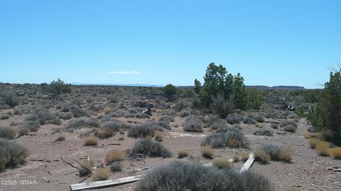 Tiny photo for 8581 Justin Lane, Snowflake, AZ 85937 (MLS # 255402)