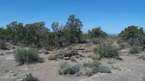 Tiny photo for 8581 Justin Lane, Snowflake, AZ 85937 (MLS # 255402)