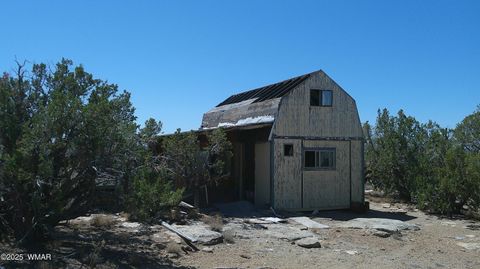 Tiny photo for 8581 Justin Lane, Snowflake, AZ 85937 (MLS # 255402)