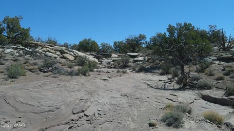 Tiny photo for 8581 Justin Lane, Snowflake, AZ 85937 (MLS # 255402)