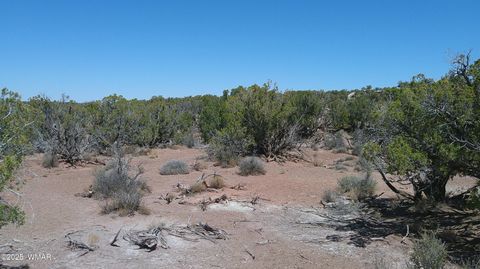 Tiny photo for 8581 Justin Lane, Snowflake, AZ 85937 (MLS # 255402)