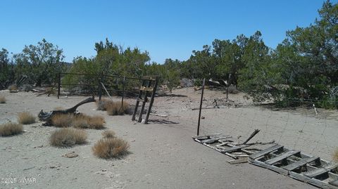 Tiny photo for 8581 Justin Lane, Snowflake, AZ 85937 (MLS # 255402)