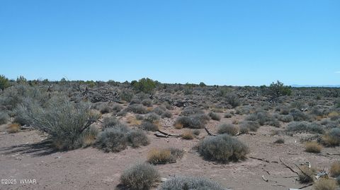 Tiny photo for 8581 Justin Lane, Snowflake, AZ 85937 (MLS # 255402)