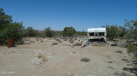 Tiny photo for 8581 Justin Lane, Snowflake, AZ 85937 (MLS # 255402)