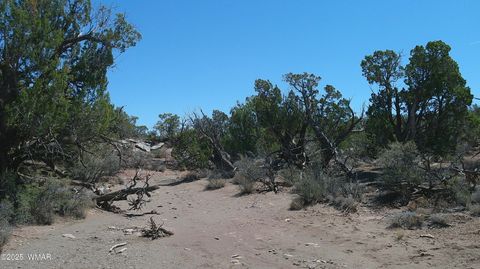 Tiny photo for 8581 Justin Lane, Snowflake, AZ 85937 (MLS # 255402)