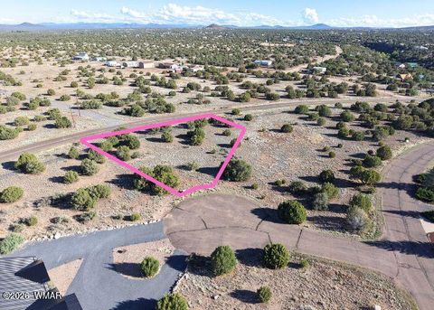 Tiny photo for 8455 W Yucca Place, Show Low, AZ 85901 (MLS # 259111)