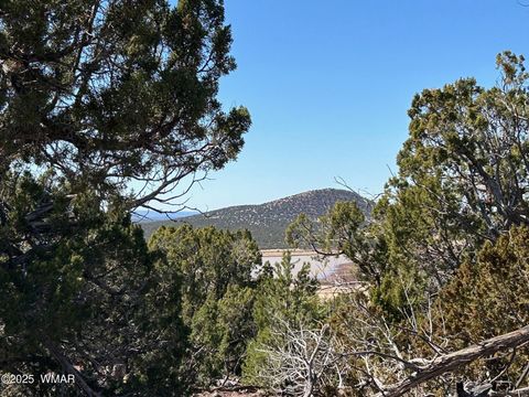 Tiny photo for lot 76 Dolly Drive, Vernon, AZ 85940 (MLS # 255028)