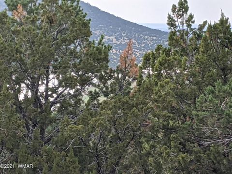 Tiny photo for lot 76 Dolly Drive, Vernon, AZ 85940 (MLS # 255028)