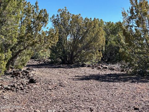 Tiny photo for lot 76 Dolly Drive, Vernon, AZ 85940 (MLS # 255028)