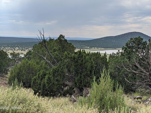 Tiny photo for lot 76 Dolly Drive, Vernon, AZ 85940 (MLS # 255028)