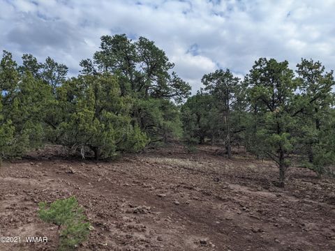 Tiny photo for lot 76 Dolly Drive, Vernon, AZ 85940 (MLS # 255028)