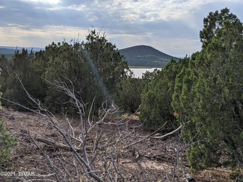Tiny photo for lot 76 Dolly Drive, Vernon, AZ 85940 (MLS # 255028)