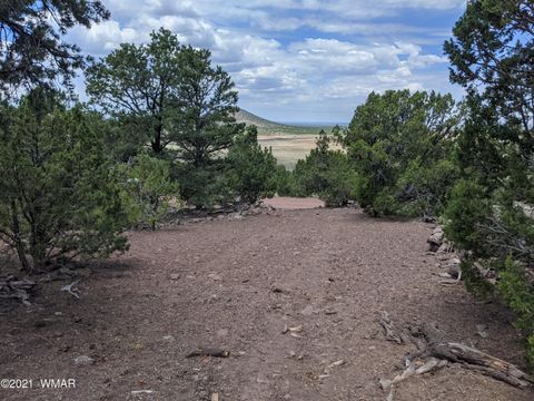 Tiny photo for lot 76 Dolly Drive, Vernon, AZ 85940 (MLS # 255028)