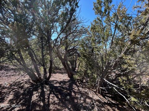 Tiny photo for lot 76 Dolly Drive, Vernon, AZ 85940 (MLS # 255028)