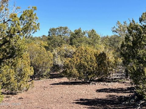 Tiny photo for lot 76 Dolly Drive, Vernon, AZ 85940 (MLS # 255028)