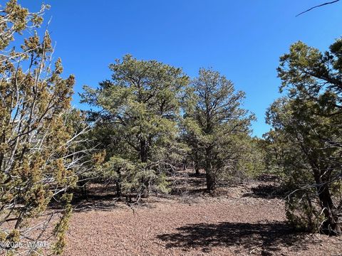 Tiny photo for lot 76 Dolly Drive, Vernon, AZ 85940 (MLS # 255028)