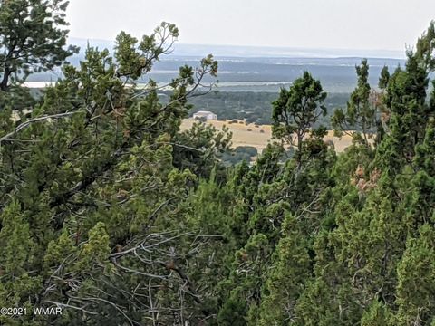 Tiny photo for lot 76 Dolly Drive, Vernon, AZ 85940 (MLS # 255028)