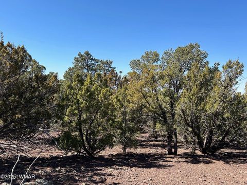 Tiny photo for lot 76 Dolly Drive, Vernon, AZ 85940 (MLS # 255028)