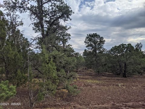 Tiny photo for lot 76 Dolly Drive, Vernon, AZ 85940 (MLS # 255028)