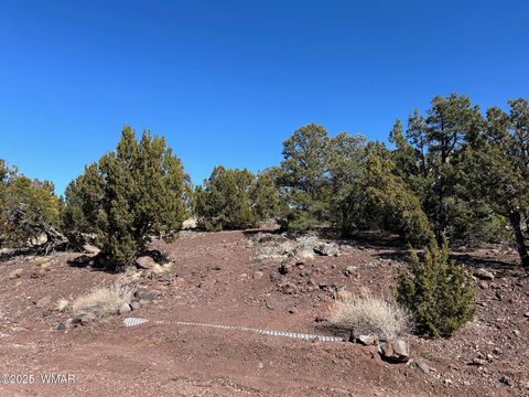 Tiny photo for lot 76 Dolly Drive, Vernon, AZ 85940 (MLS # 255028)