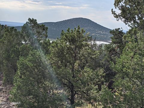Photo of lot 76 Dolly Drive, Vernon, AZ 85940 (MLS # 255028)