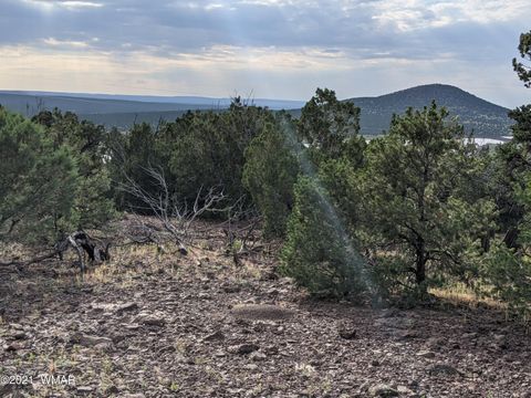 Tiny photo for lot 76 Dolly Drive, Vernon, AZ 85940 (MLS # 255028)
