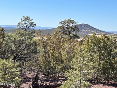 Tiny photo for lot 76 Dolly Drive, Vernon, AZ 85940 (MLS # 255028)