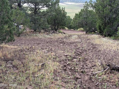 Tiny photo for lot 76 Dolly Drive, Vernon, AZ 85940 (MLS # 255028)