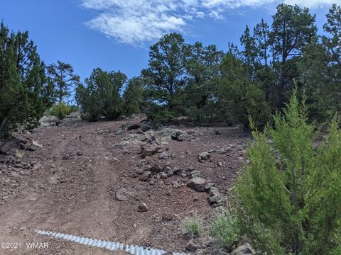 Tiny photo for lot 76 Dolly Drive, Vernon, AZ 85940 (MLS # 255028)