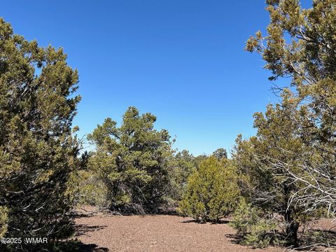 Tiny photo for lot 76 Dolly Drive, Vernon, AZ 85940 (MLS # 255028)