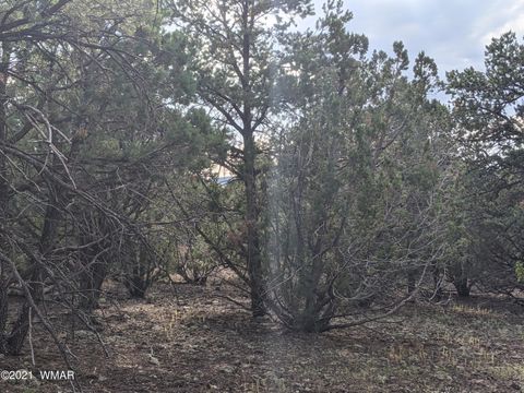 Tiny photo for lot 76 Dolly Drive, Vernon, AZ 85940 (MLS # 255028)