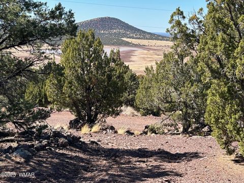 Tiny photo for lot 76 Dolly Drive, Vernon, AZ 85940 (MLS # 255028)