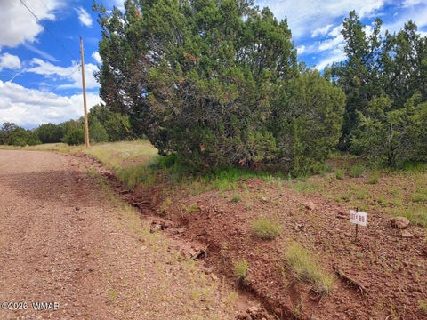 Photo of 64 County Rd 8145 Lot 89, Vernon, AZ 85940 (MLS # 263225)