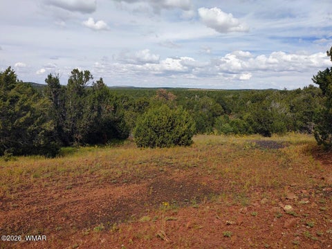 Tiny photo for 64 County Rd 8145 Lot 89, Vernon, AZ 85940 (MLS # 263225)