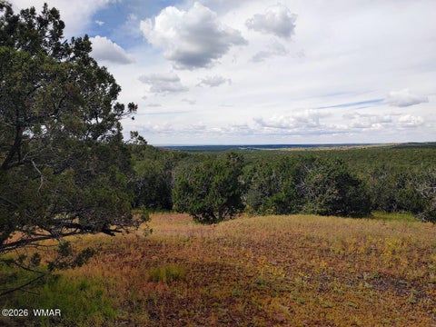 Tiny photo for 64 County Rd 8145 Lot 89, Vernon, AZ 85940 (MLS # 263225)