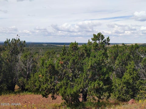 Tiny photo for 64 County Rd 8145 Lot 89, Vernon, AZ 85940 (MLS # 263225)