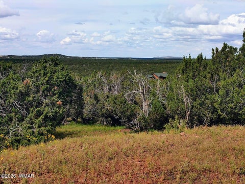 Tiny photo for 64 County Rd 8145 Lot 89, Vernon, AZ 85940 (MLS # 263225)