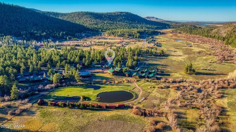 Tiny photo for 166 N Main Street, Greer, AZ 85927 (MLS # 260315)