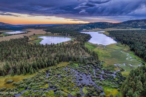 Tiny photo for 166 N Main Street, Greer, AZ 85927 (MLS # 260315)