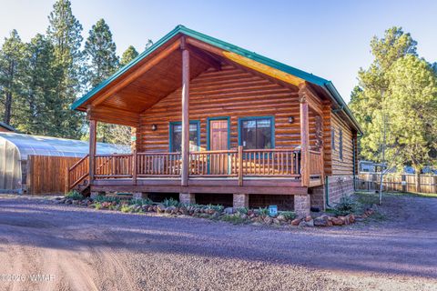Tiny photo for 166 N Main Street, Greer, AZ 85927 (MLS # 260315)